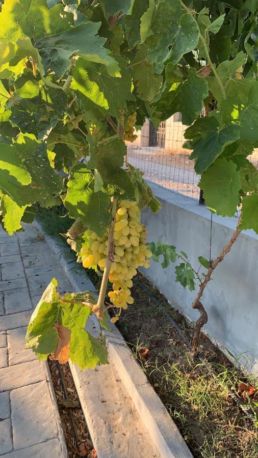 Secret Edem Villa Kolymbia Dış mekan fotoğraf