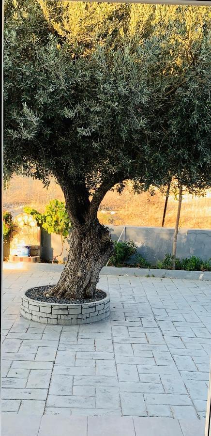 Secret Edem Villa Kolymbia Dış mekan fotoğraf